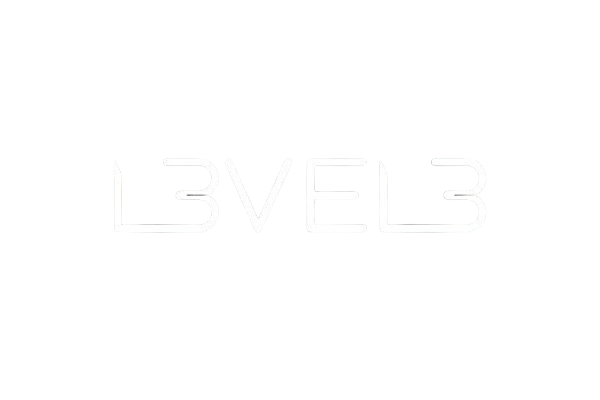 Level 3